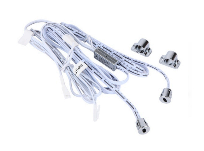 ˫������Ӧ����